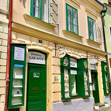Apartman Galant Apartment Cesky Krumlov Bagian luar foto