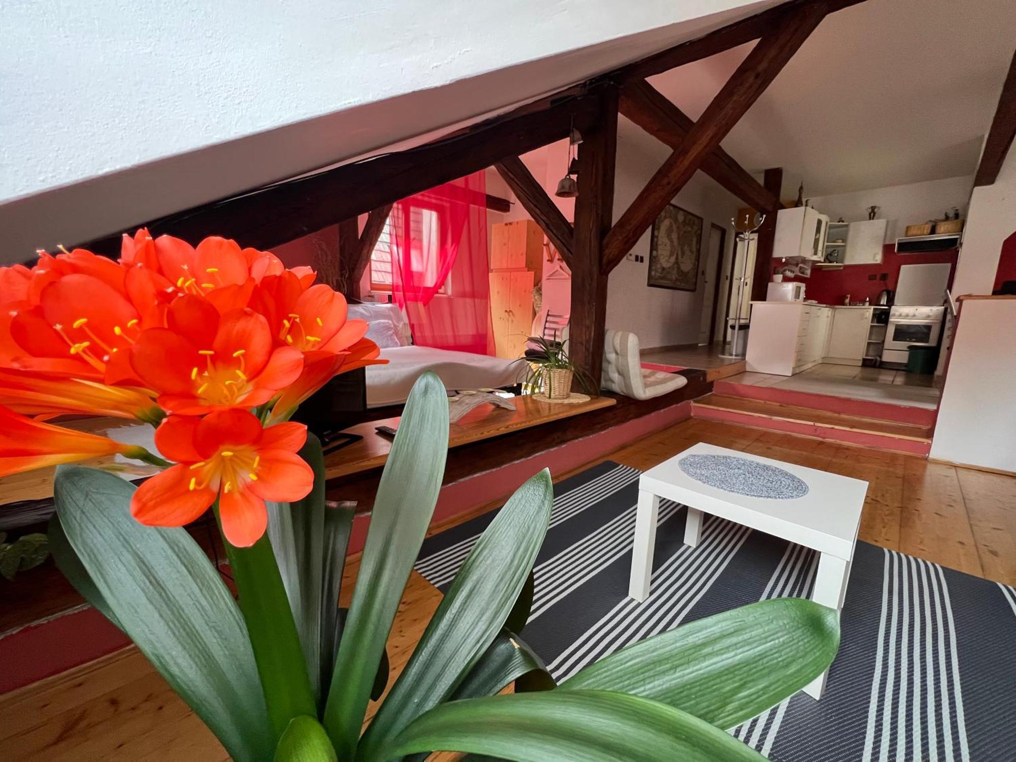 Apartman Galant Apartment Cesky Krumlov Bagian luar foto